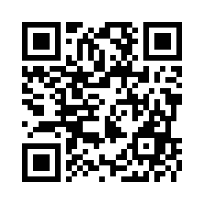 Google Flow QR 코드